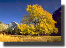 Yosemite in Fall